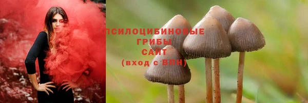 МДПВ Богородицк