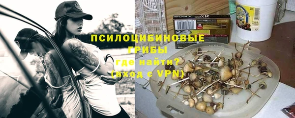 дживик Богородск