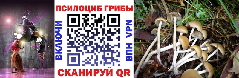 сайты даркнета официальный сайт  Наро-Фоминск  Псилоцибиновые грибы Magic Shrooms 